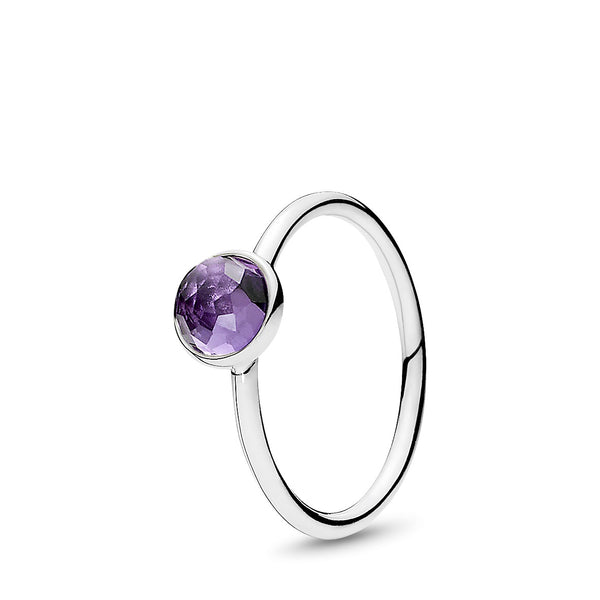 February Birthstone Silver Ring