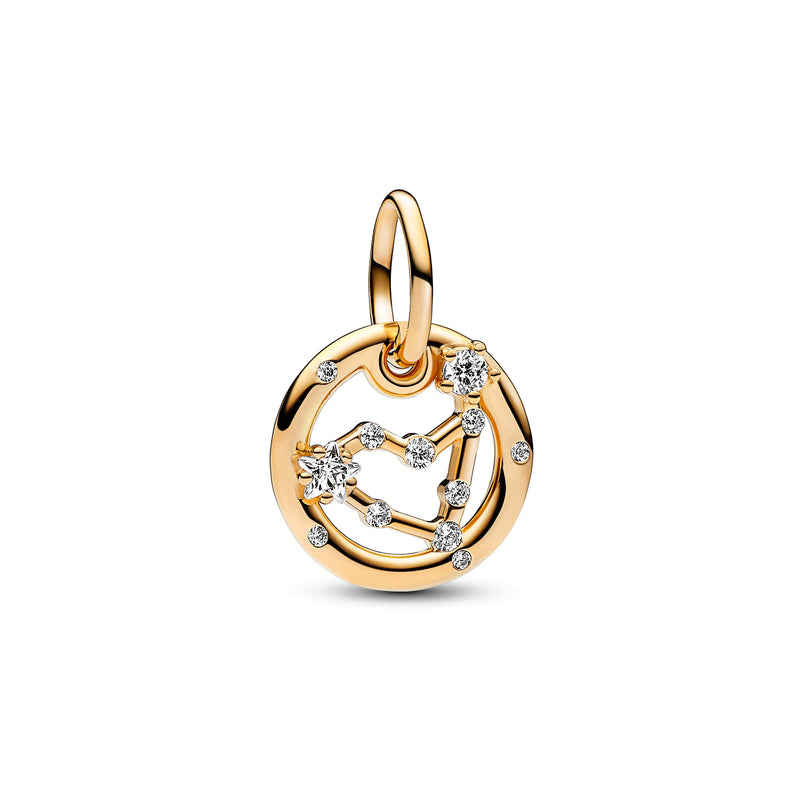 Capricorn Zodiac Dangle Charm